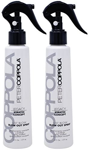Peter Coppola Just Blow Blowout Spray - (6 oz (2 Pack)) Reduces Blow Dry Time Heat Protectant Spray Anti Frizz Smoothes and Straightens all Hair Types. Conditions and Adds Shine